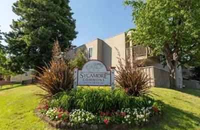 Sycamore Commons